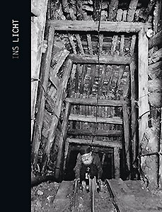 Buchcover: Ins Licht
