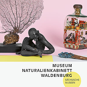 Buchcover: Museum Naturalienkabinett Waldenburg