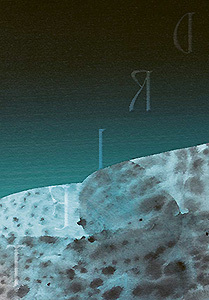 Buchcover: Susanne Wurlitzer